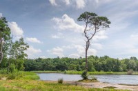 FR Boom Friesland Rob Visser Photography SMALL.jpg