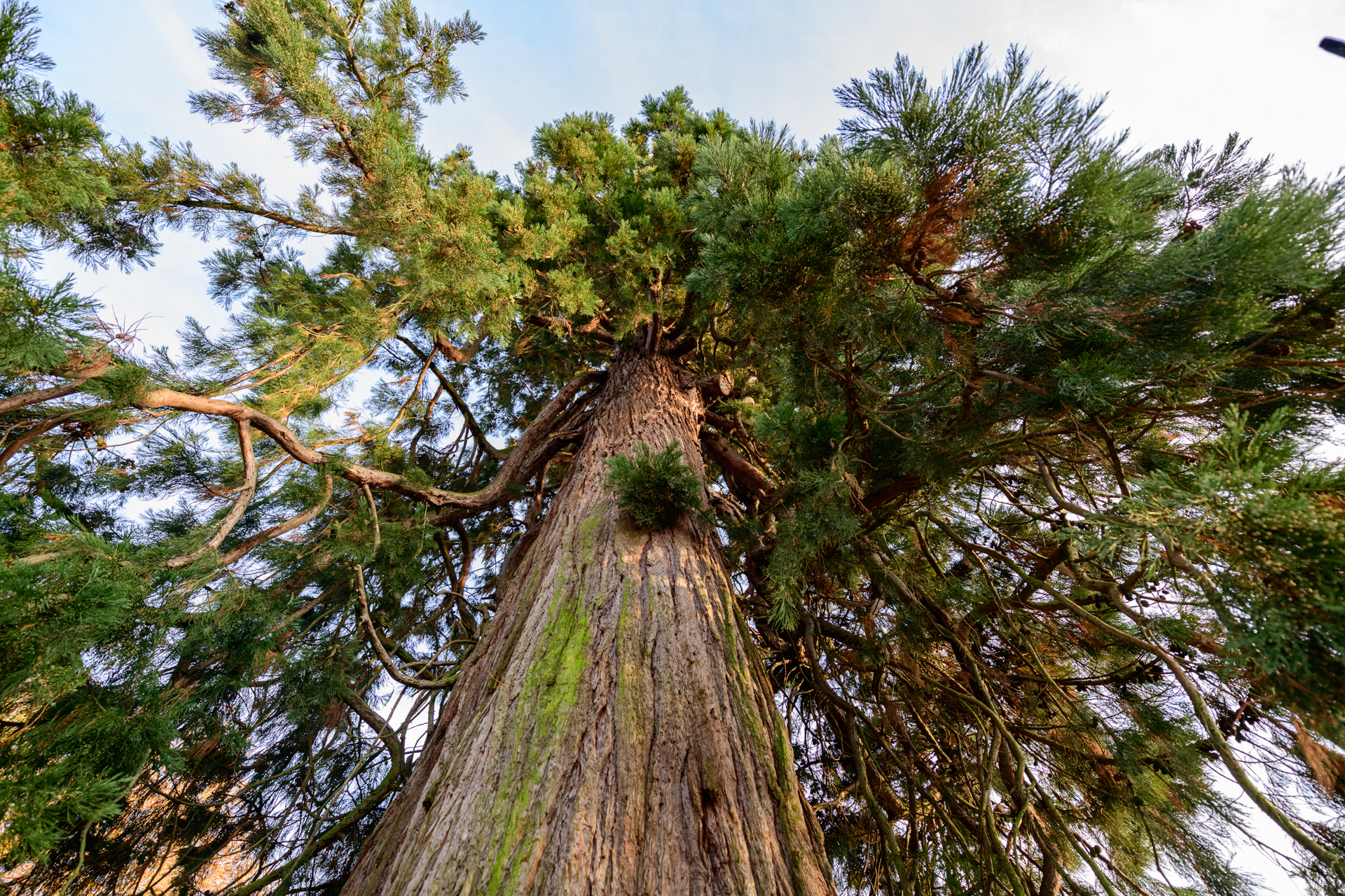 Netherlands_05_ETY2026_credit_Koos Mavrakis.jpg