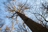 RobHuibers_20230117-0702.jpg