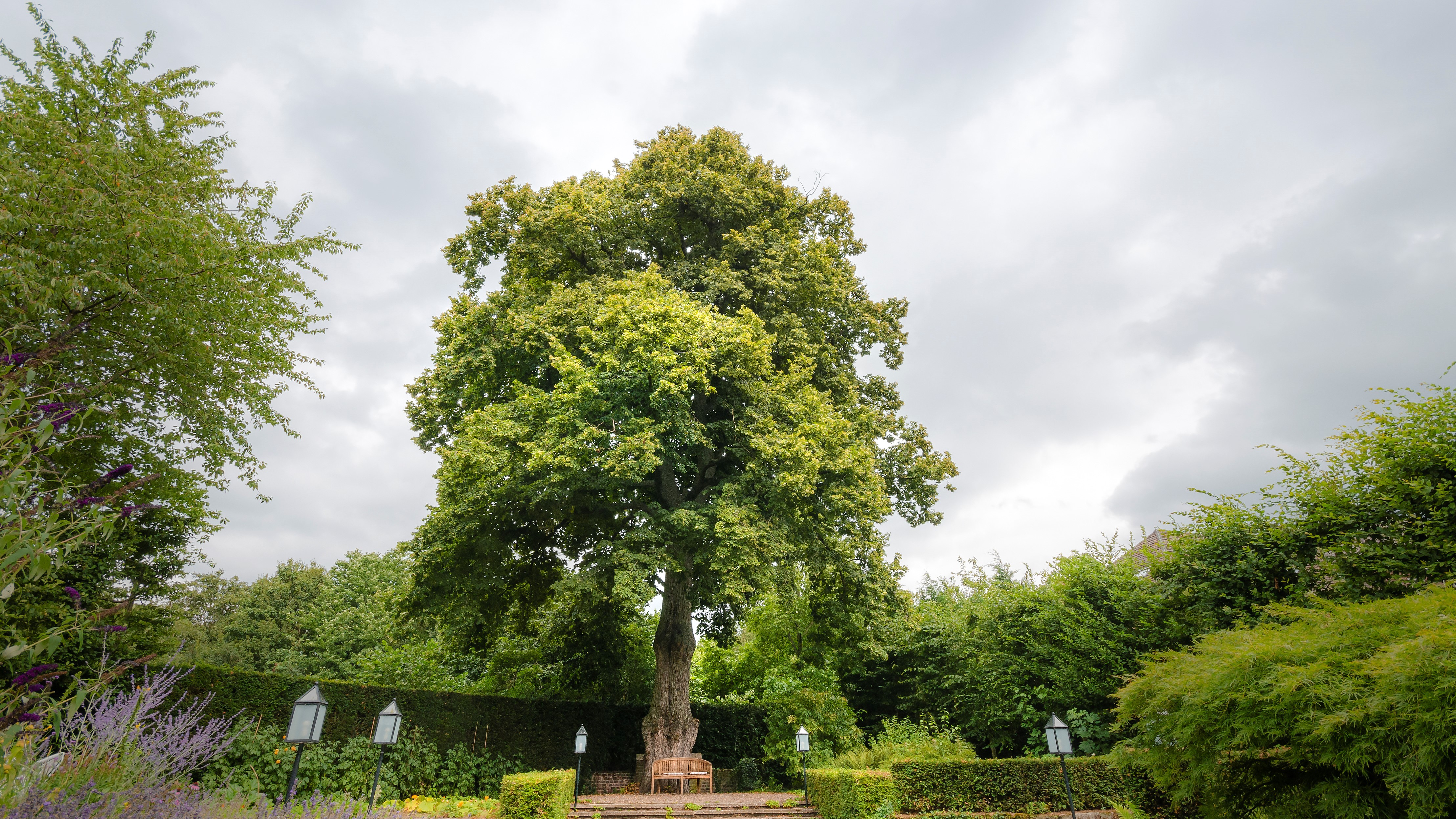 Limburg_DSC_2688_homepage3.jpg