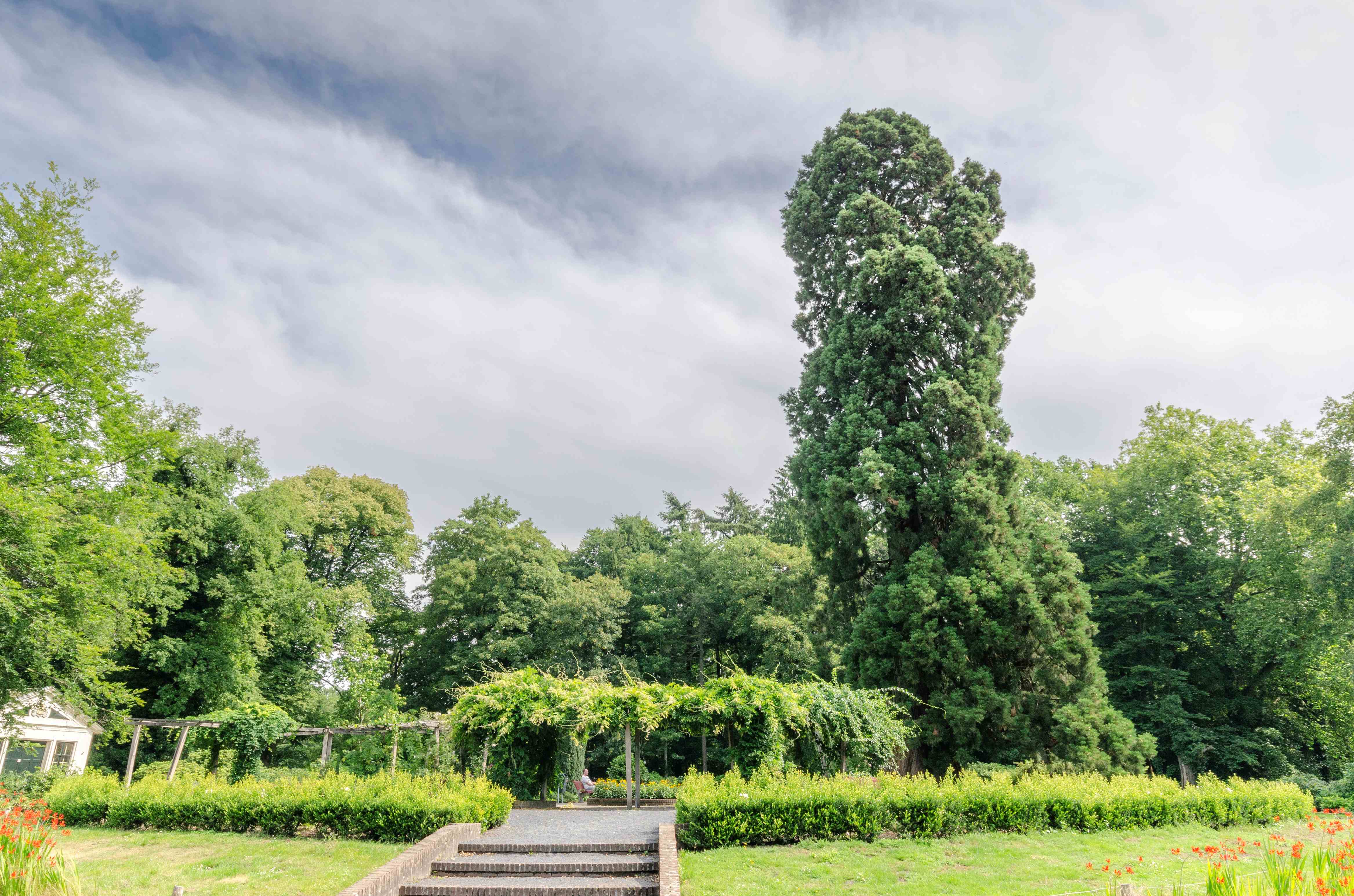 OV Boom Overijssel Rob Visser Photography 2 SMALL.jpg