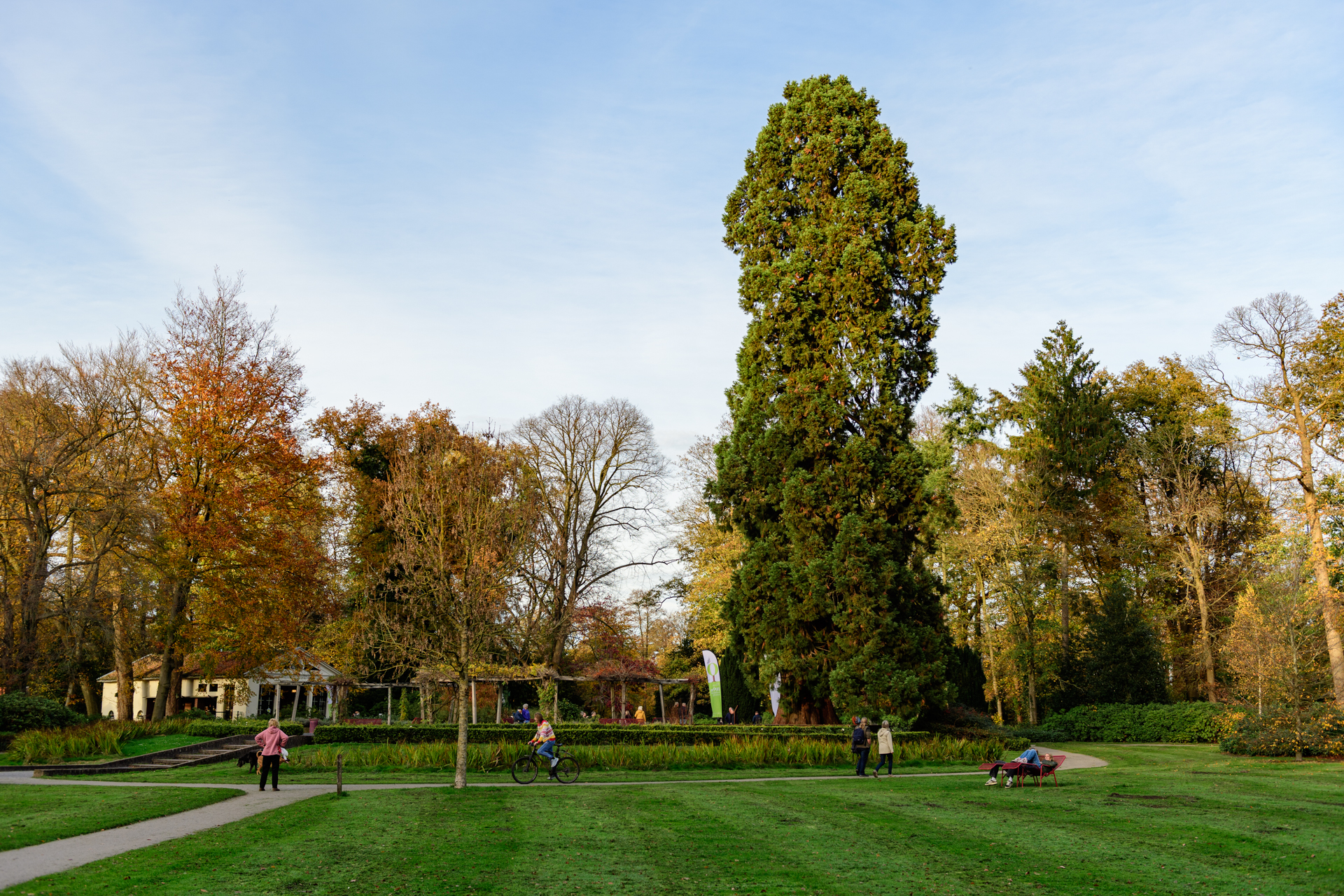 KM20251112-01 Boom van het Jaar Enschede 2.jpg
