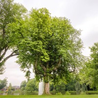 Drenthe_DSC_2445_klein.jpg