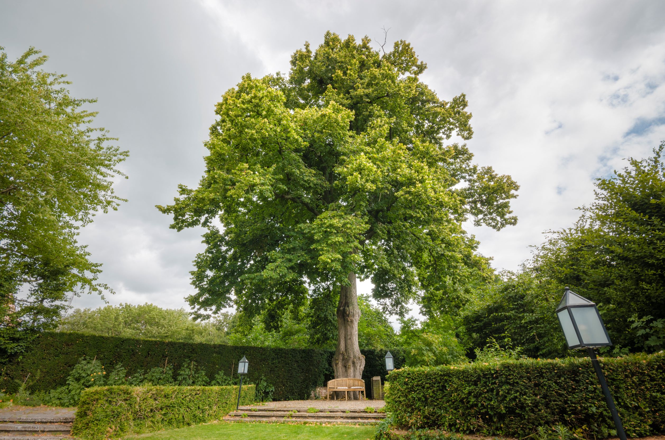 Limburg_DSC_2660_web.JPG