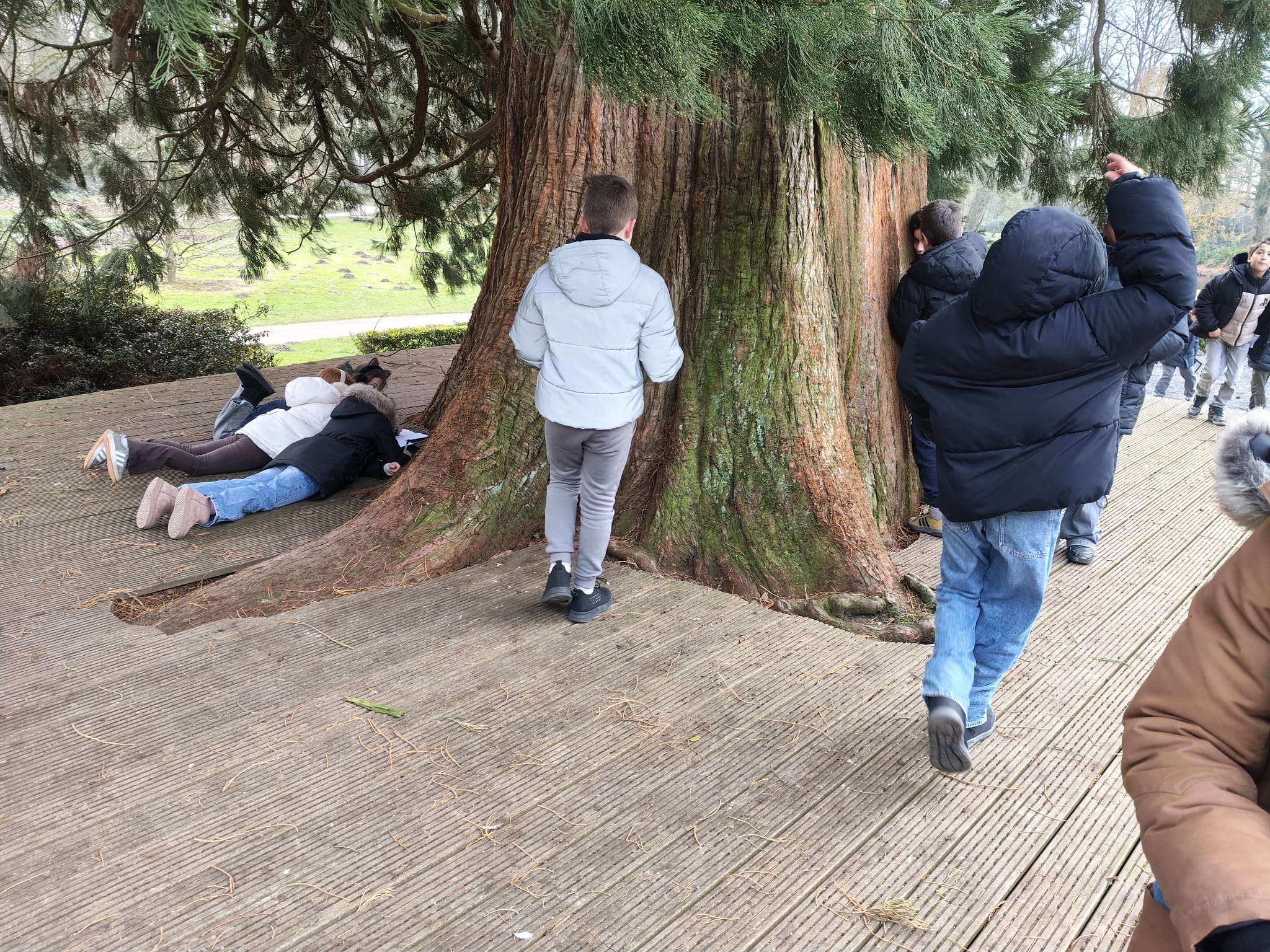 La Res Noord groep 5 en 6.jpeg