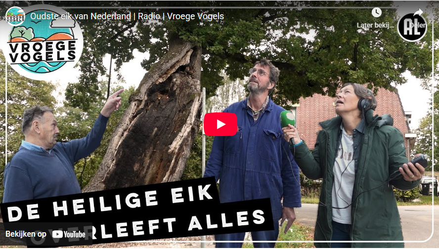 vroege vogels.png