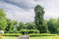 OV Boom Overijssel Rob Visser Photography 2 SMALL.jpg