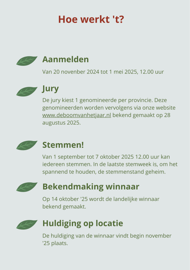 Schema Boom van het Jaar 2025